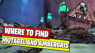 WHERE TO FIND MUTAGEL AND AMBERGRIS IN ARK GENESIS PART 2 [upl. by Nnad]