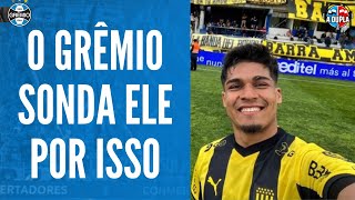 🔵⚫ Grêmio Matias Arezo  finalizador nato  Faro de gol e velocidade  Talento e potencial [upl. by Aikaj]