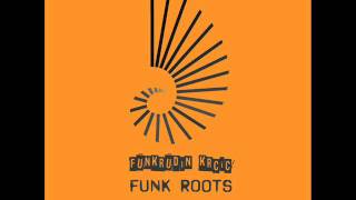 Funkrudin Krcic  Funk Roots [upl. by Bennion]