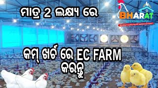 Ec farm in odisha Ec Poultry farm Ec equipment [upl. by Neret]