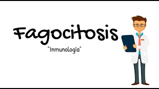 Fagocitosis Inmunología 6 [upl. by Vernice985]