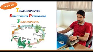 Diversity Among Plants  Lecture 11  Tracheophytes  Subdivision Pteropsida  Life Cycle of Fern [upl. by Tenahs416]