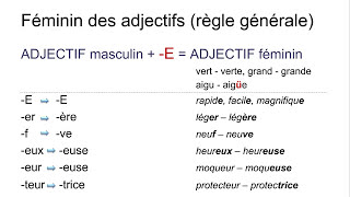 Les adjectifs – introduction  genre fémininmasculin – nombre plurielsingulier [upl. by Yhcir420]