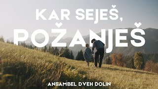 Ansambel Dveh Dolin  Kar Seješ Požanješ [upl. by Nangatrad]