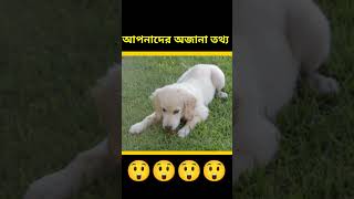 আপনাদের অজানা কিছু রহস্য  shorts short Viral tanding shortsfeed facts FactsMine [upl. by Carree]