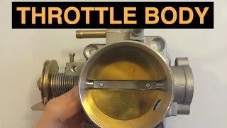 Throttle Body  Explained [upl. by Akihsar]