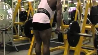 BodyBuilding Dennis James Back to Basics 1 [upl. by Natehc]