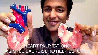 Heart Palpitations A simple exercise to help ectopic heart beats [upl. by Otte]