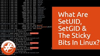 024  How To Use SetUID SetGID And Sticky Bits  Manage File Ownership  Linux For Beginners [upl. by Denae382]