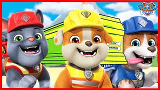 THE BEST SUPER MEGAMIX PAW Patrol  Coffin Dance Meme Song [upl. by Chavaree]