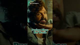 Pushpa AKA Allu Arjun Net Worth alluarjun ramcharan pawankalyan chiranjeevi pushpa pushpa2 [upl. by Kilian838]