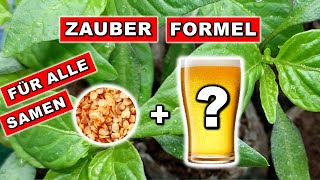 Wie SAMEN blitzschnell KEIMEN lassen  Die 🚀 Methode für Chilis amp Co 🌱 Aussaat im Februar [upl. by Travers616]