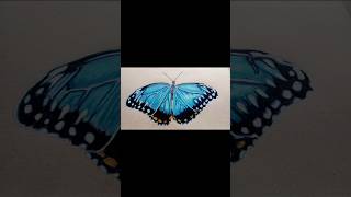 Blue morpho Butterfly Drawing trending art butterfly [upl. by Euton255]