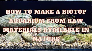 Biotope aquarium setup Ingredients taken from nature [upl. by Gader843]