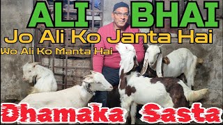 Dhamaka Sasta Bhi Quality Bhi Mauka Bhi Chanas Looto Aur Shouk Karo  Ali Bhai Bhiwandi Mumbai [upl. by Nitin]