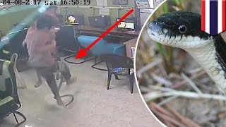 Snake attack internet cafe patrons surprised by snake all hell breaks loose  TomoNews [upl. by Arlan]