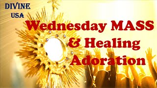 LIVE JAN 24 2024  WEDNESDAY MASS amp HEALING ADORATION  DIVINE USA  FR JOHN KATTATTU VC [upl. by Eanert675]