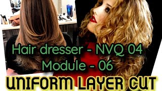 How to perform uniform layer cut [upl. by Nosittam]