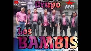 BAMBIS DE JUJUY CUMBIA CHICHA SUREÑA MIX Radio Arias 2024 [upl. by Tallia]