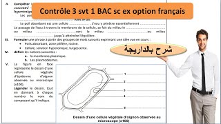 SVT 1BAC sc ex contrôle3  absorption de leau et des sels minéraux شرح بالداريجة [upl. by Ferdinand]