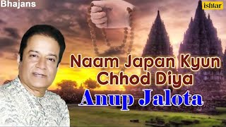 Naam Japan Kyun Chhod Diya  Anup Jalota  Best Hindi Bhajans  JUKEBOX  Popular Bhajans [upl. by Irep]