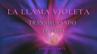 ✨Visualización Guiada con la Llama Violeta 🔮 Transmutación Celestial shorts decretos llamavioleta [upl. by Simmie]