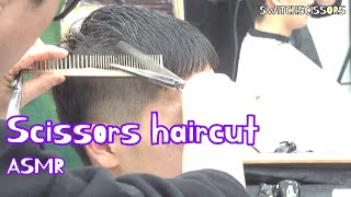 Scissors haircut ASMR [upl. by Tadeas]