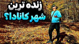 مونترال زنده ترین شهر کانادا از قیمت خونه تا زیبایی پاییز [upl. by Wilt56]