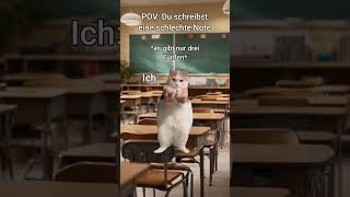 POV Du schreibst eine schlechte Note 🥴 katzenvideos katzen shorts schule [upl. by Culley]