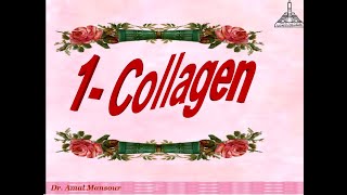 Collagen amp Elastin [upl. by Bolan155]