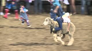 Spanish Fork Rodeo mutton busting [upl. by Mansoor]