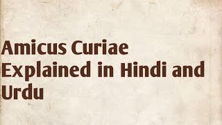 Amicus Curiae in International Law  What is Amicus Curiae Meaning in Law [upl. by Sachi]