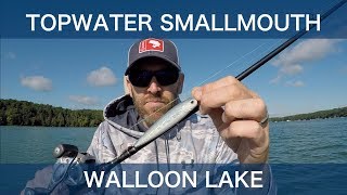 Northern Michigan Topwater Smallmouth  Walloon Lake [upl. by Nenerb]