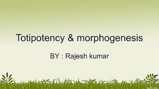 Totipotency and morphogenesis information [upl. by Rednazxela]