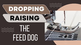 How to Drop and Raise the Feed Dog  Usha Janome Sewing Machine  Feed Dog  Feed Lever [upl. by Bierman]