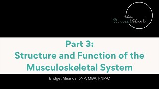 Part 33 Structure and Function of the Musculoskeletal System  RN Pathophysiology [upl. by Ocsecnarf]