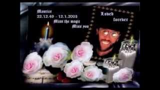 In Memory of Maurice Gibb Immortality [upl. by Aiuqenehs]