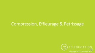 Introduction To Effleurage Petrissage amp Compression [upl. by Els]