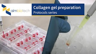 IdentX – Collagen Gel Preparation Protocol [upl. by Assilram]