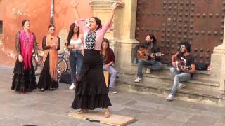 Flamenco dance 1 in Granada 2015 [upl. by Notneuq135]