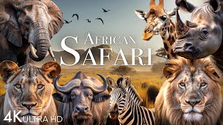 African Safari 4K  Amazing Wildlife of African Savanna  Scenic Relaxation Film [upl. by Aiciles]