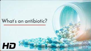 The Science of Antibiotics How They Work and Why They Matter [upl. by Notsud]