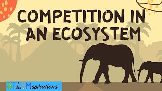 Competition in an Ecosystem Mutualism Intraspecific Interspecific Relationships [upl. by Aley]