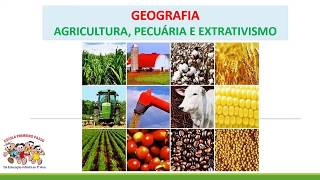 Agricultura Pecuária e Extrativismo [upl. by Dnomsad]