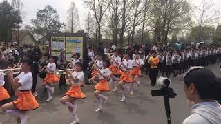 Kyoto Tachibana High School band  2019 Blumen Parade [upl. by Sesilu]