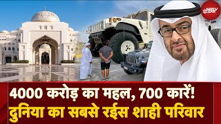 Sheikh Mohamed Bin Zayed Al Nahyan Worlds Richest Family कितना Net Worth  Abu Dhabi Crown Prince [upl. by Bathsheb]