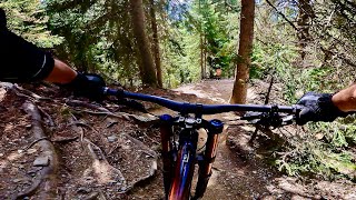 Palm Pro Line  Hammer jumpline 2022  bikepark Brixen  mtb downhill Plose Südtirol [upl. by Brantley668]