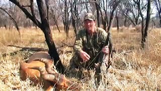 Hunting red hartebeest South Africa [upl. by Adyam]