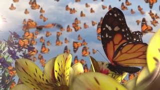 Butterflies  Ziggy Marley Animated Video  ZIGGY MARLEY 2016 [upl. by Ondrej642]