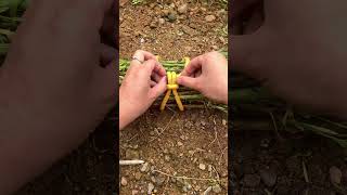 Xing Shu teaches how to use practical knots for tying vegetables [upl. by Ad932]